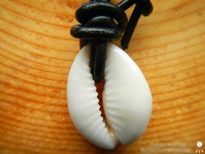 Kauri-Muschelkette