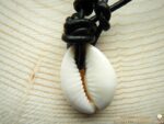Kauri-Muschelkette – Bild 2
