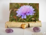 Postkartenhalter "Birke" – Bild 2