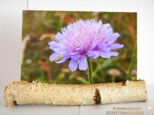 Postkartenhalter "Birke"