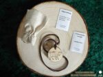 Krafttier Amulett "Stier" – Bild 3