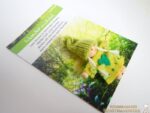 Wichtel "Wunder" – Bild 5