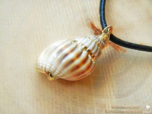 Meeres Amulett "Große Strandschnecke"