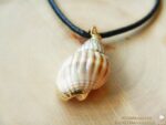Meeres Amulett "Große Strandschnecke" – Bild 3