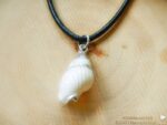 Meeres Amulett "Kleine Strandschnecke" – Bild 3