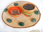 Mini-Pflanzset "Glücksklee" – Bild 7