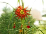 Sonnenfänger "Sonnenspirale" – Bild 4