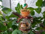 Schamanische Kraftflasche "Wald" – Bild 9