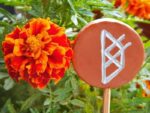 Spiritueller Gartenstecker "Binderune" – Bild 6