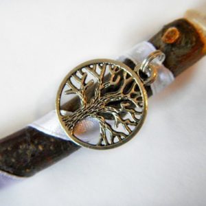 Hexenbesen "Buche" – Bild 2