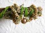 Pflanzengeist Puppe "Schafgarbe" – Bild 7
