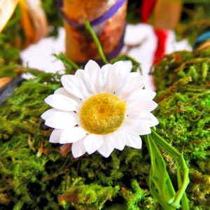 Beltane Baum - weiße Blume (Abb. ähnlich)