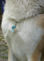 Schutzengel Anhänger für Hunde "Türkis" – Bild 3