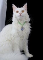 Schutzengel Anhänger für Katzen "Chalcedon" – Bild 3