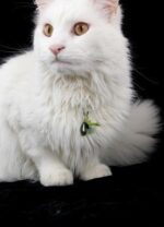Schutzengel Anhänger für Katzen "Jade" – Bild 3